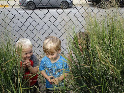 Children hiding in grass